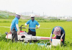 무인헬기 공동방제